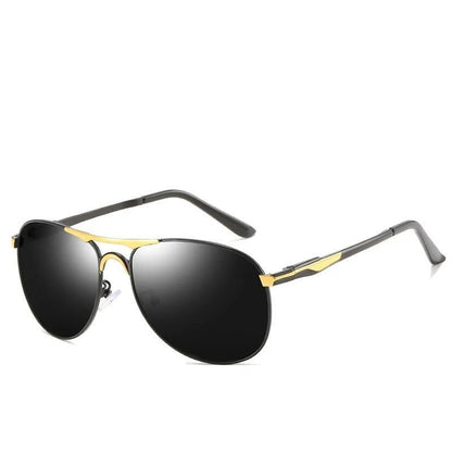 Classic Aviator Sunglasses - Harren Cole